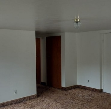 Portfolio Image 36
